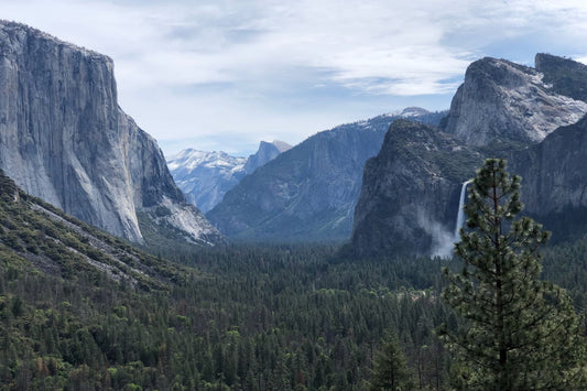 Yosemite Cycling Camp with The Vegan Cyclist